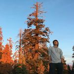 Anson Chan - @_anson_chan_ - Instagram