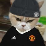 Anson Chan - Facebook