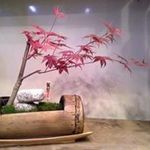 Anson Chow - @anson_chow_233 - Instagram