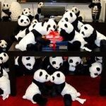 Anson Chow - @anson.chow.121 - Instagram