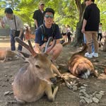 Anson Chung - @ansonchungxd - Instagram