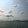 Anson Chung - @30340082233 - TikTok