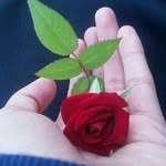 Anson Joseph - @anson.joseph.186 - Instagram