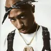 antwayne - @antwayne...1 - TikTok