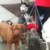 Antyuan Flood - @antyuan.flood - TikTok