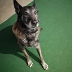 Ante Moric - @moric412 - Instagram