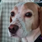 Anthea Brown - Facebook
