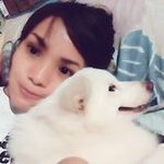 Anthea Rose Cat - @anthea.cat - Instagram