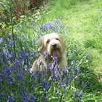 Anthea White - @whiteanthea - Instagram