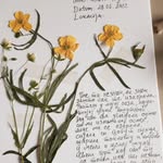 Anthony Abron - @anthonyabron - Instagram