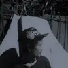 anthonyadayo0 - @anthony.adayo - TikTok