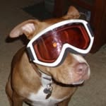 Anthony Aho - @ahoanthony44 - Instagram