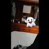 anthonyalejos779 - @anthonyalejos779 - TikTok