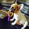 anthonyallsop28 - @anthonyallsop28 - TikTok
