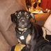 Anthony J Amburgey - Facebook