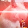 Anthony Aranda - @anthony.aranda0 - TikTok