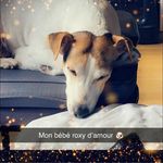 Anthony Aranda - @aranda.anthony - Instagram
