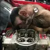 Anthony Arcaro - @anthony.arcaro - TikTok