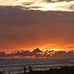 Antony Arguello - Facebook