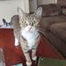 Tony Armato - Facebook