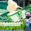 Anthony avellano - @avellanojong19gmail.com2 - TikTok