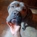 Anthony Avery - Facebook