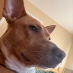 Anthony Avolio - @anthonyavolio3 - Instagram