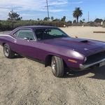Anthony Baccari - @meatball5793 - Instagram
