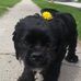Anthony Bachman - Facebook