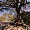 Anthony Badia - @anthony.badia - TikTok