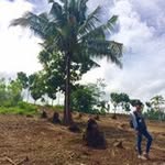 Anthony Badiang - @anthonybadiang - Instagram