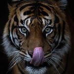 Anthony Baggett - @baggett4682 - Instagram