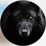 Anthony Baggett - @baggetttantthony77 - Instagram