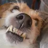 Anthony Bainbridge - @anthony.bainbridg - TikTok