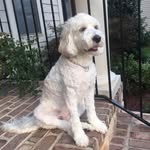 Anthony Barger - @iwillihaveidid1967 - Instagram
