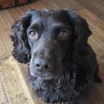 Anthony Barker - @anthony.barker.773124 - Instagram