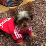 Anthony Barlow - @anthony.barlow.18 - Instagram
