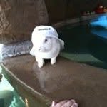 Anthony Barringer - @anthonyb1331 - Instagram