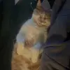 Bart Anthony - @bart.anthony8 - TikTok
