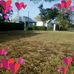 Anthony Barton - Facebook