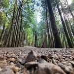Anthony Prado Basa - @anthony.p.basa - Instagram
