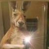 anthonybazurto875 - @anthonybazurto875 - TikTok