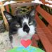 Antony Jon Beacham - Facebook
