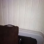 anthony beard - @beardanthony9 - Instagram
