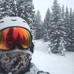 Anthony Beaulieu - @anthonysbeaulieu - Instagram