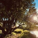 Anthony Beaulieu - @toonbeaulieu11 - Instagram