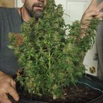 Anthony Begley - @fatboybegley222 - Instagram