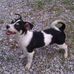 Anthony Begley - Facebook