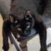 Anthony Bernstein - Facebook