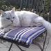 Anthony Bernstein - Facebook